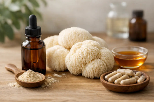 Review Lion’s Mane Extrato: vale a pena?