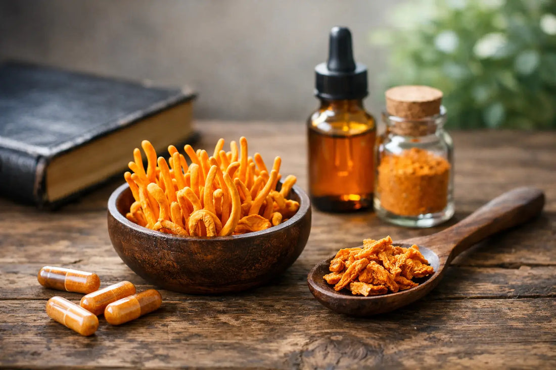 Benefícios do cordyceps militaris: evidências e limites