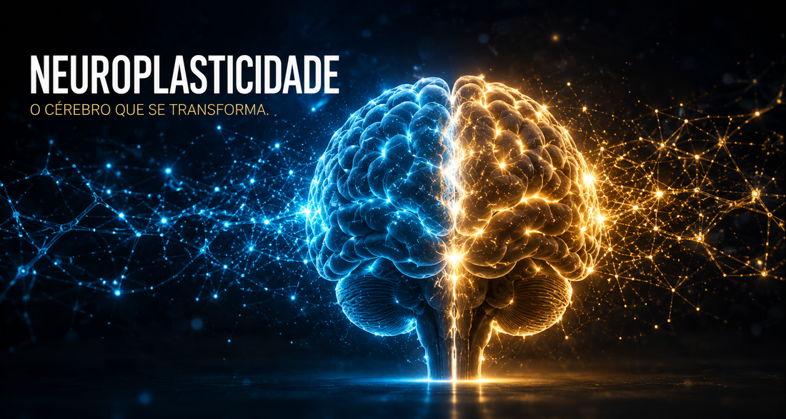 Neuroplasticidade