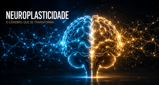 Neuroplasticidade